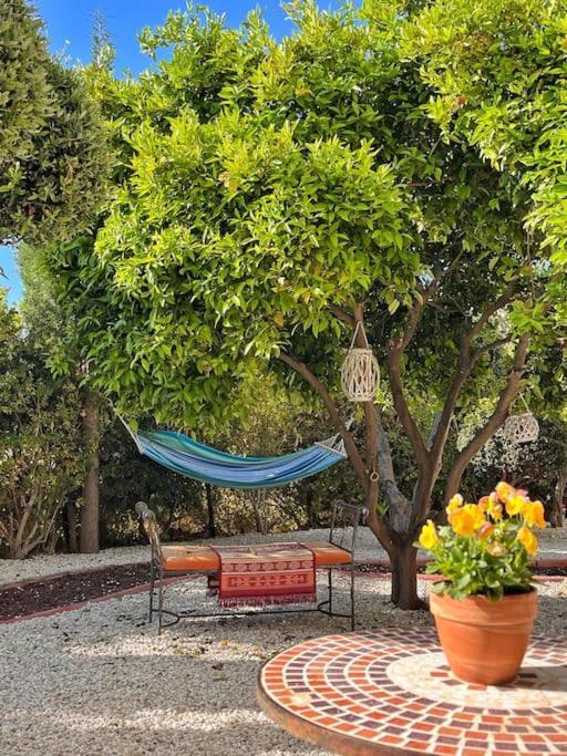 Teo Apartment Paphos ภายนอก รูปภาพ